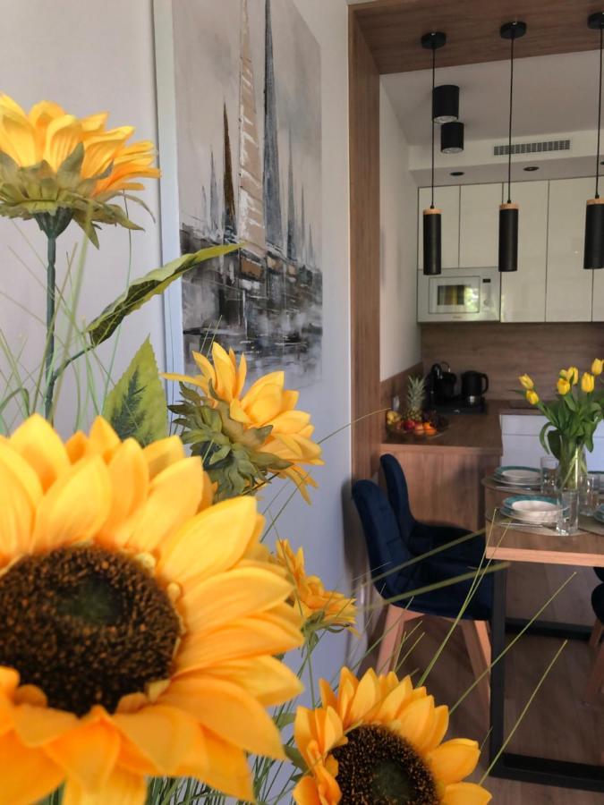 Апартаменты Apartament Sloneczny By Rentoom Торунь Экстерьер фото